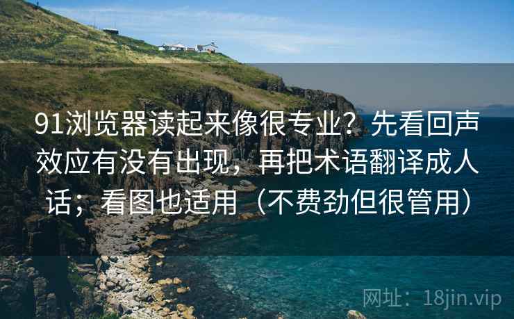91浏览器读起来像很专业？先看回声效应有没有出现，再把术语翻译成人话；看图也适用（不费劲但很管用）